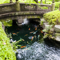 Japan2017 Day4 030