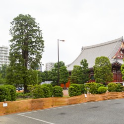 Japan2017 Day4 048