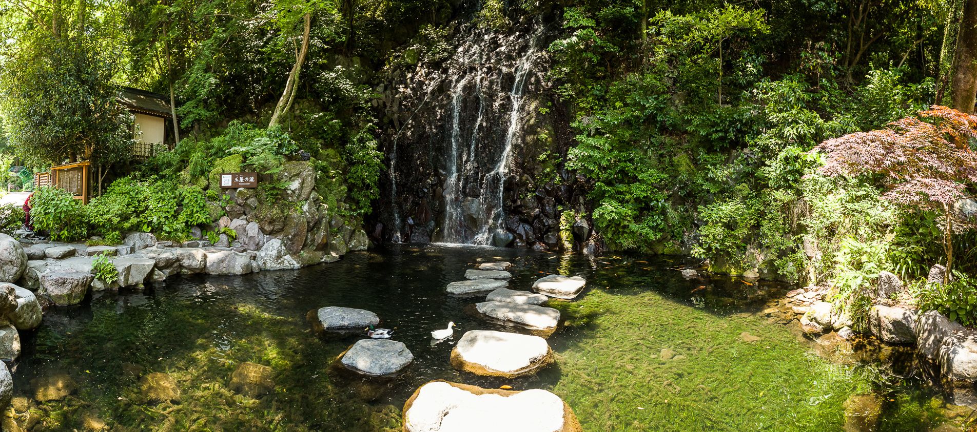 Tamadare Falls, Hakone