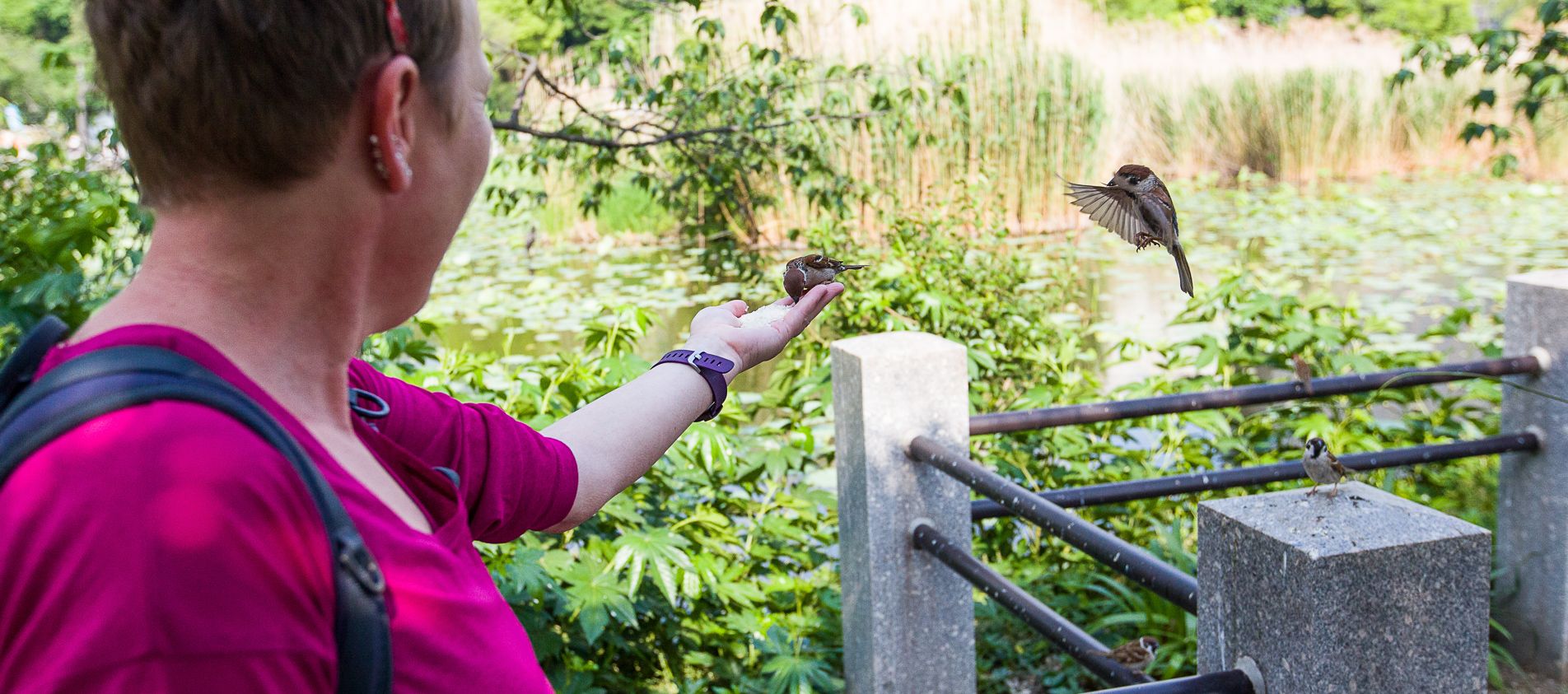 Ueno Park, Ueno, Tokyo
